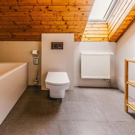 Mikulasska Hotel 3*